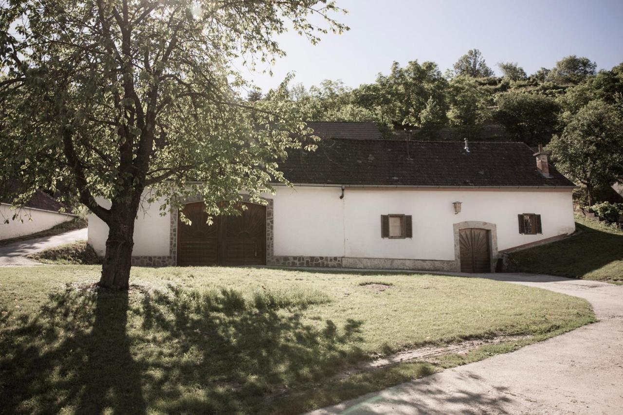 Ferienwohnung Am Weingut Eisenbock Strass  Exterior photo