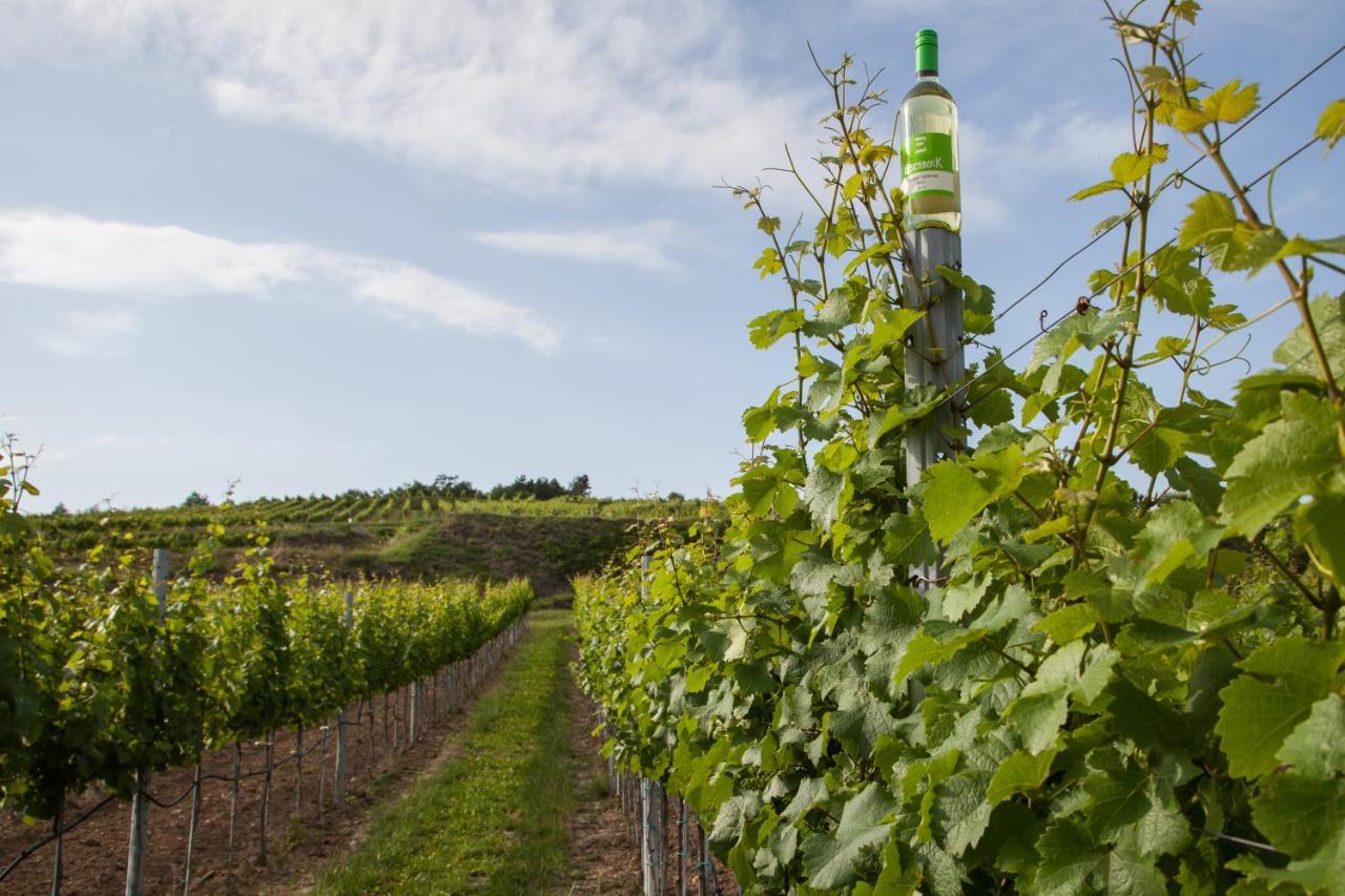 Ferienwohnung Am Weingut Eisenbock Strass  Exterior photo